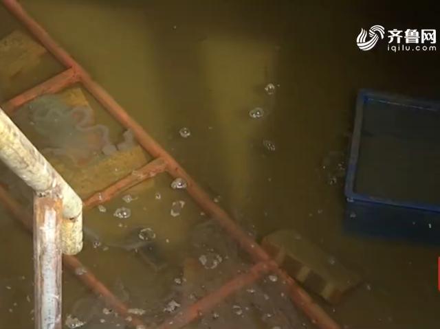 济南商河北纬37度小区业主新房交付不到俩月,楼体底部出现水坑