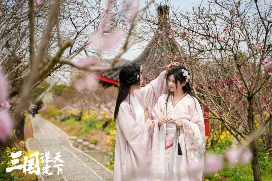 2一花独放不是春,上海桃花节会场有六镇,可谓各美其美,争奇斗艳——在