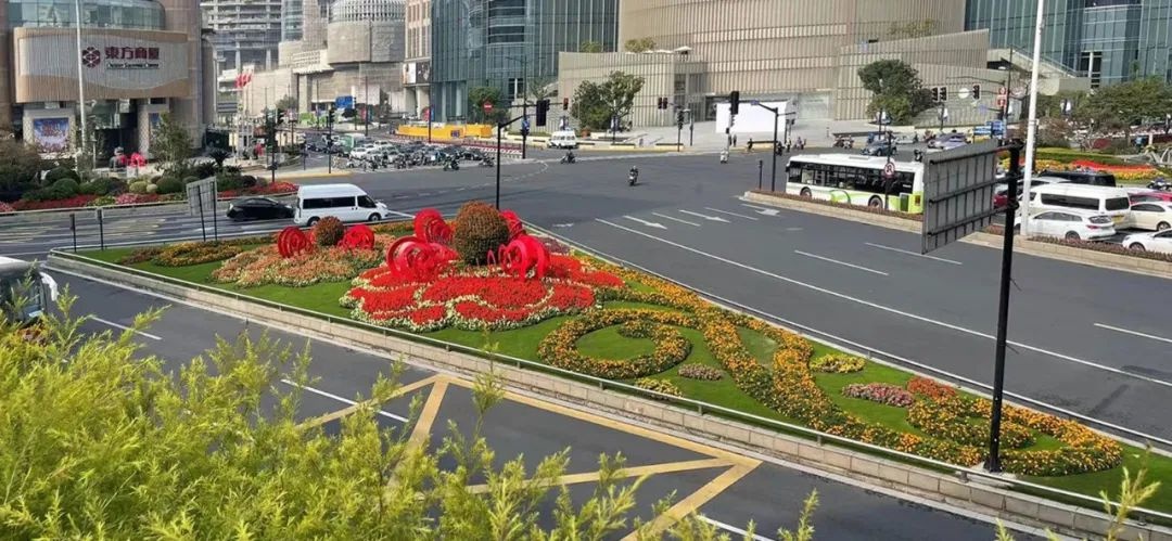 进博会开幕在即!绽放在道路,主题景点,花坛花境的限定美景来了