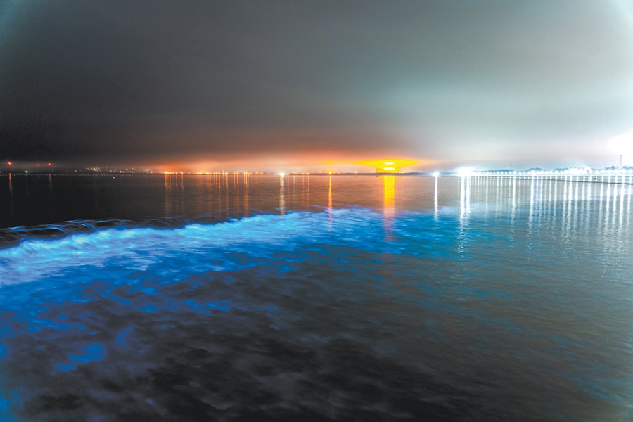 "蓝眼泪"连续多晚惊艳泉州海滩