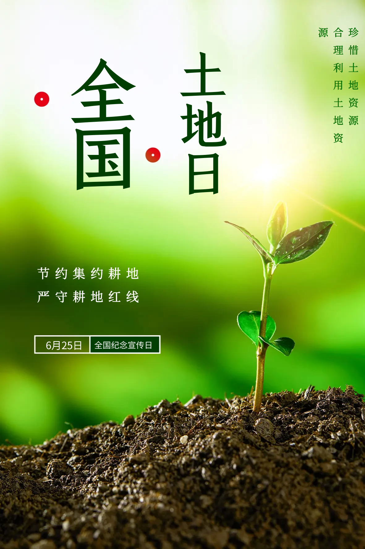 全国土地日的图片,插画,插图,素材,文案,请大家欣赏与收藏