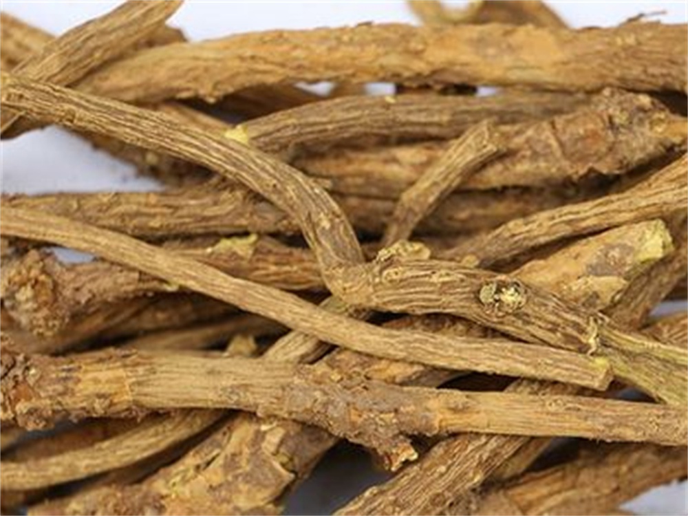 枯条芩——稳居中条清肺火