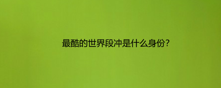 最酷的世界段冲是什么身份?