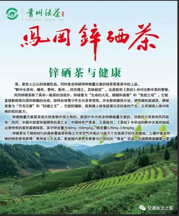 凤冈锌硒茶|翡翠绿,嫩栗香,浓爽味的特点越来越受消费者的喜爱