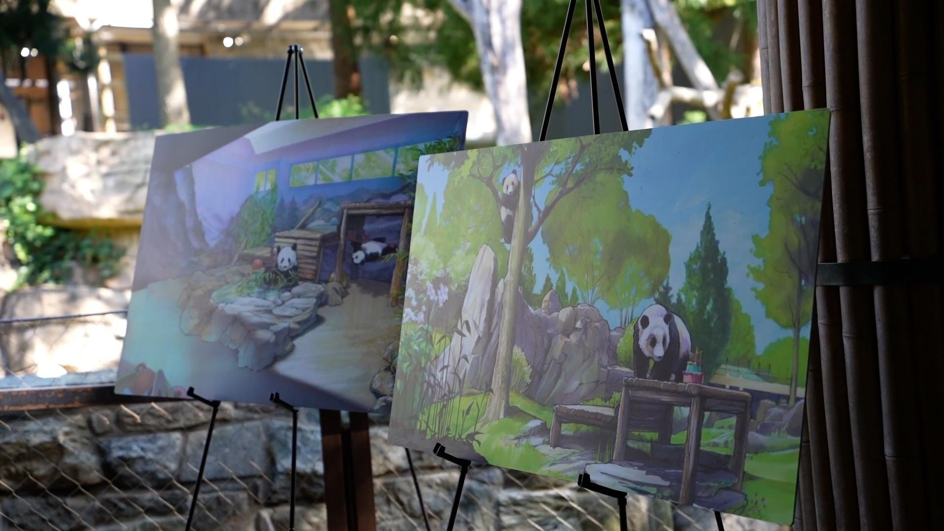 美国首都华盛顿年内将迎来新一对大熊猫