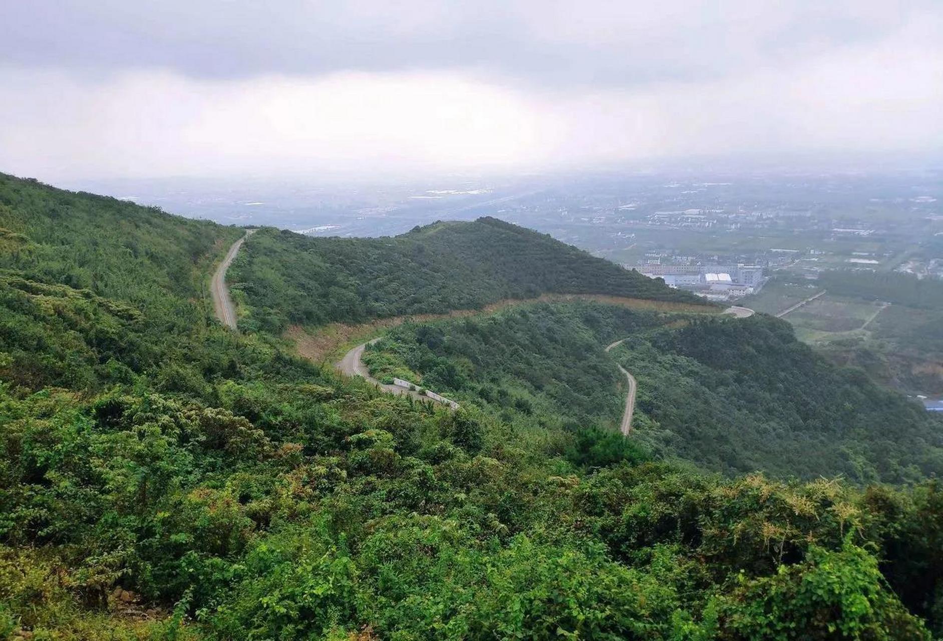 主犯陈胜伟67年生,江阴长山人,拆迁后居住江阴锦隆小区,曾因多次赴
