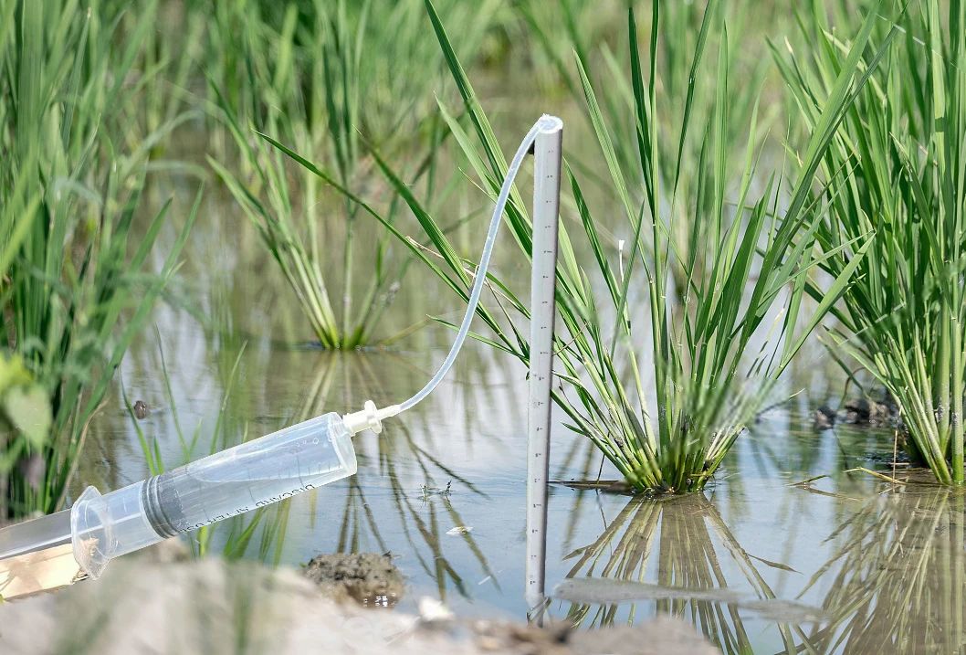 easysensor的野外大田款土壤溶液抽滤式孔隙水采样器-好用!