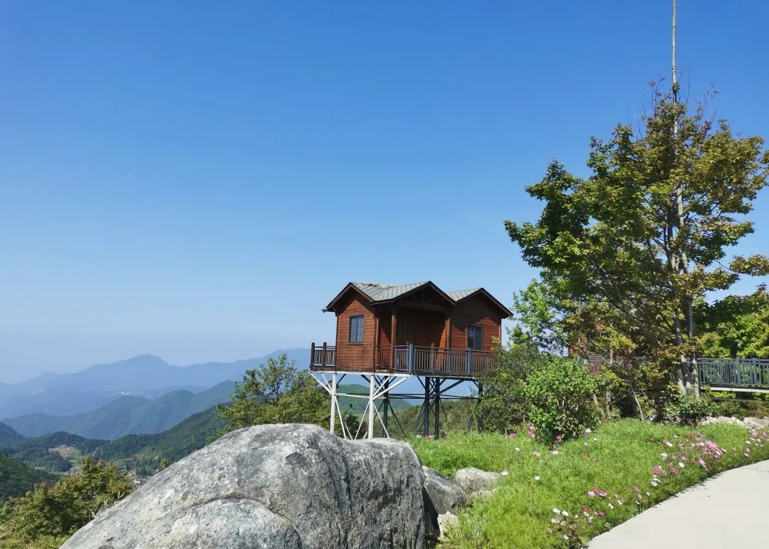 【县乡热线】临海市白水洋镇:"三为一体"激发乡贤"共富引擎"