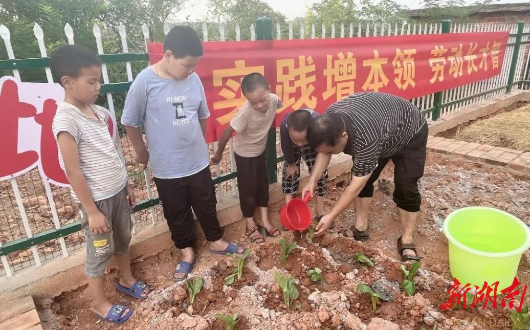 衡南县泉湖镇首个校园劳动实践基地揭牌启用