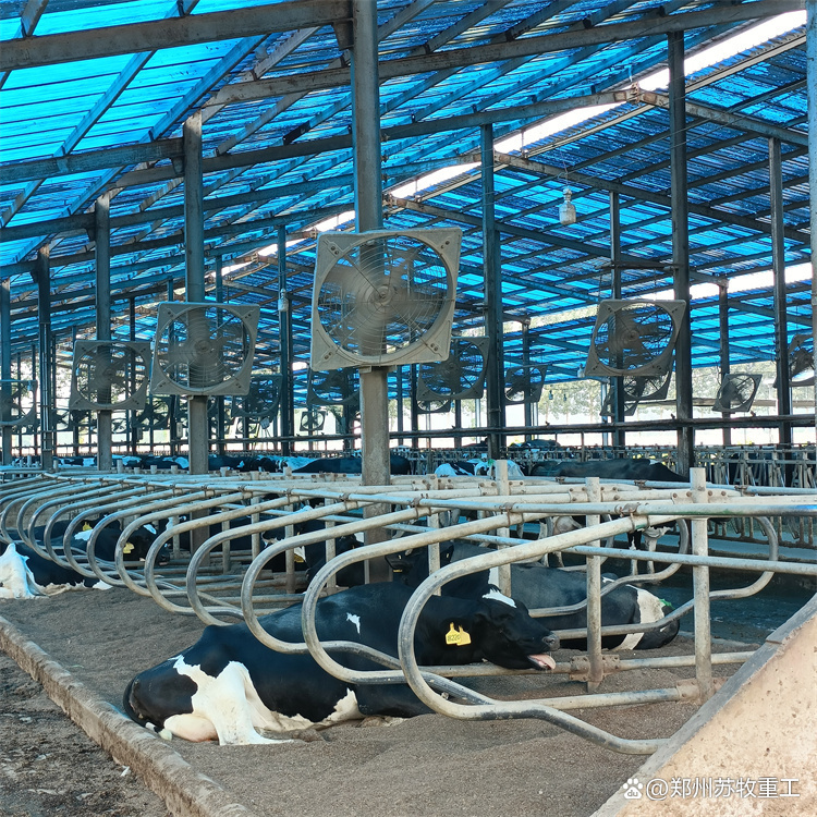奶牛場基礎設備—熱鍍鋅牛臥床(圖2)