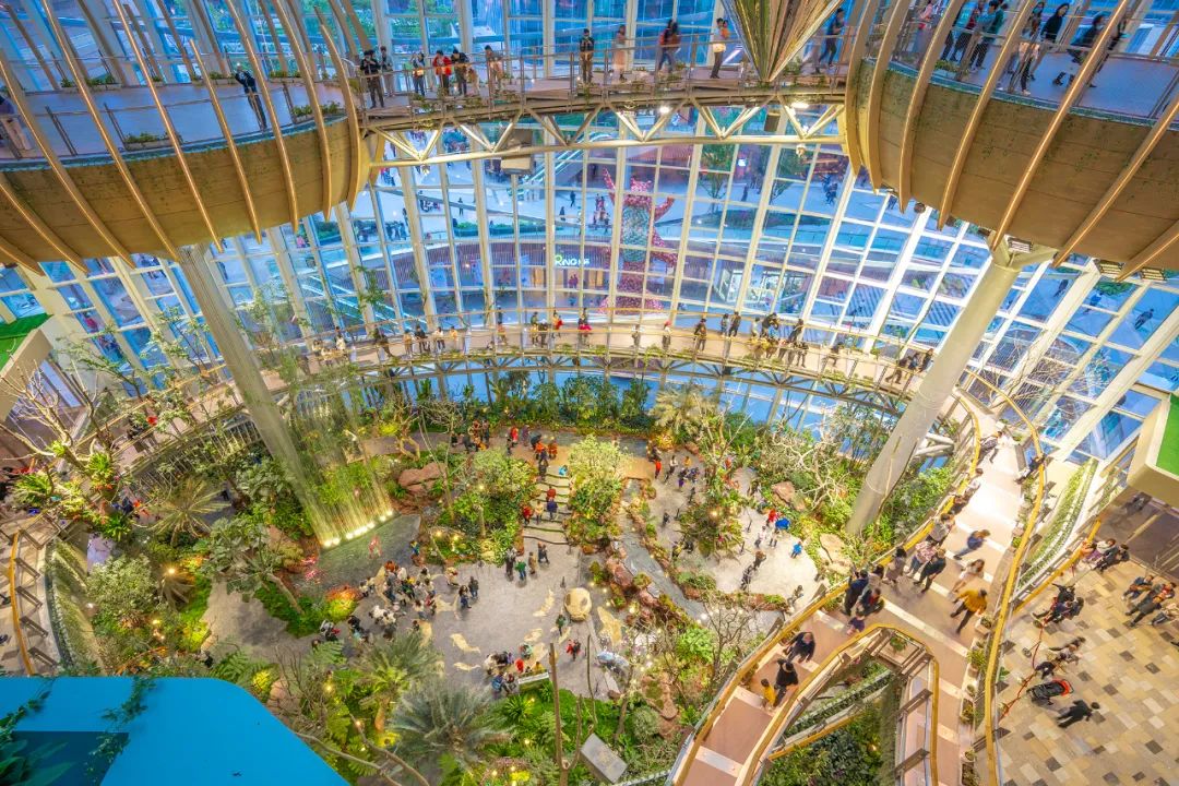 光环购物公园-"沐光森林" 蓝天 摄