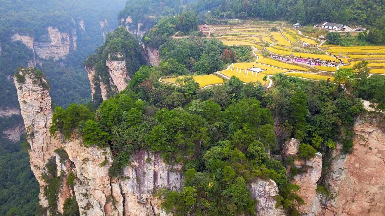 张家界空中田园图片图片