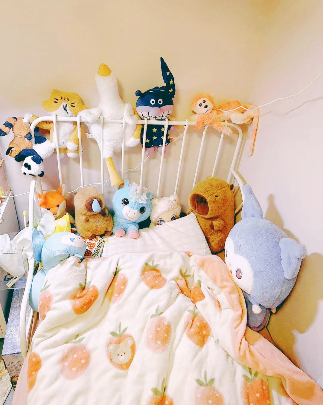 都喜欢把夹来娃娃放满床头,玩得时候抱抱贴贴,甚至直接入口亲亲,咬咬