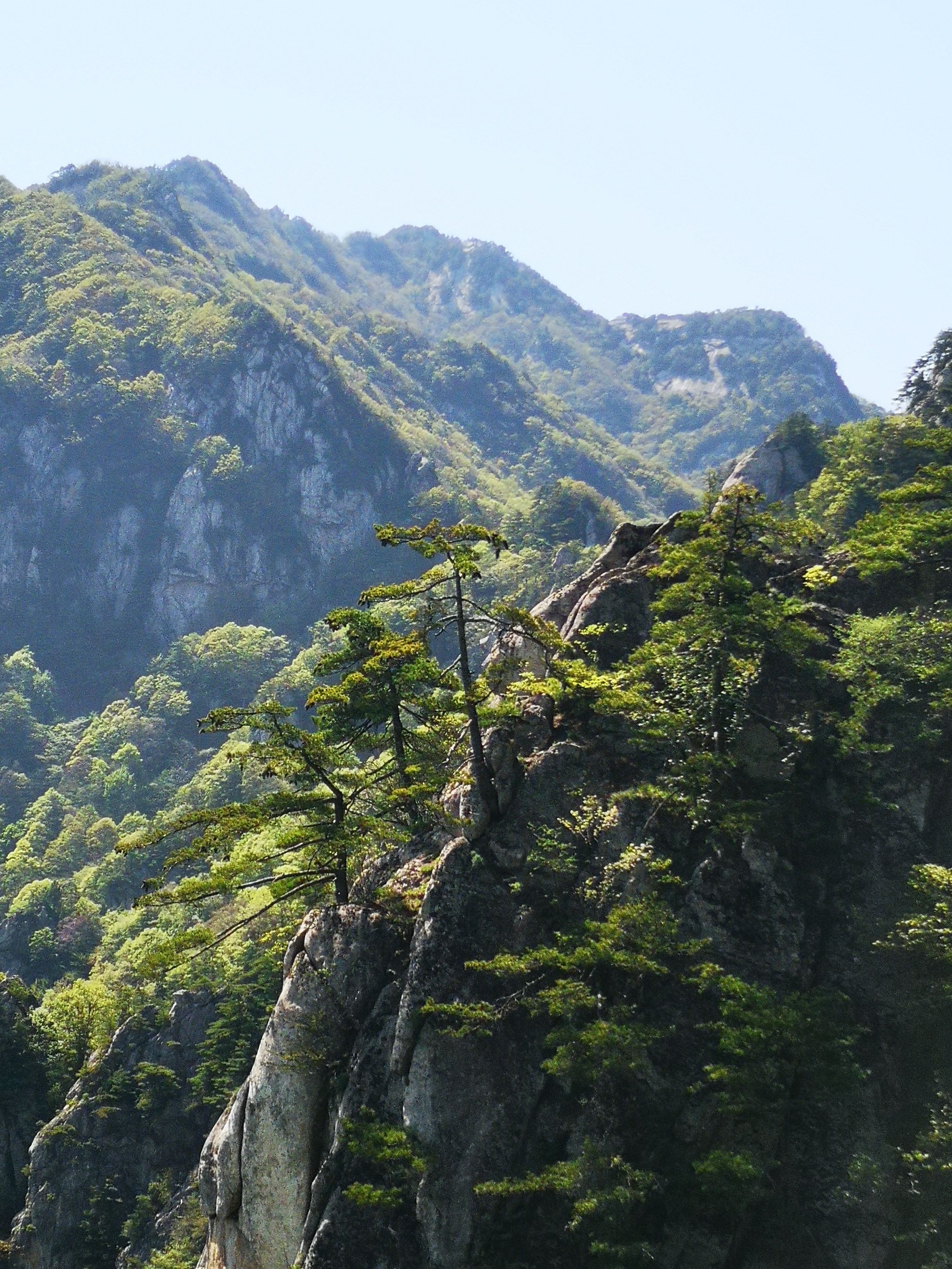 蓝田玉山网红的景点图片