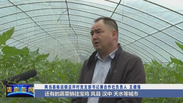 「献礼建党百年」两当:厚植红色文化 走出农旅融合发展新路子