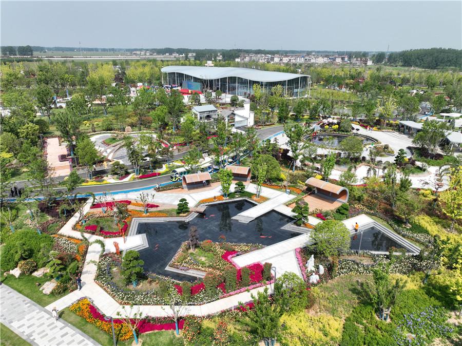 第四届阜阳市花博会在界首开幕