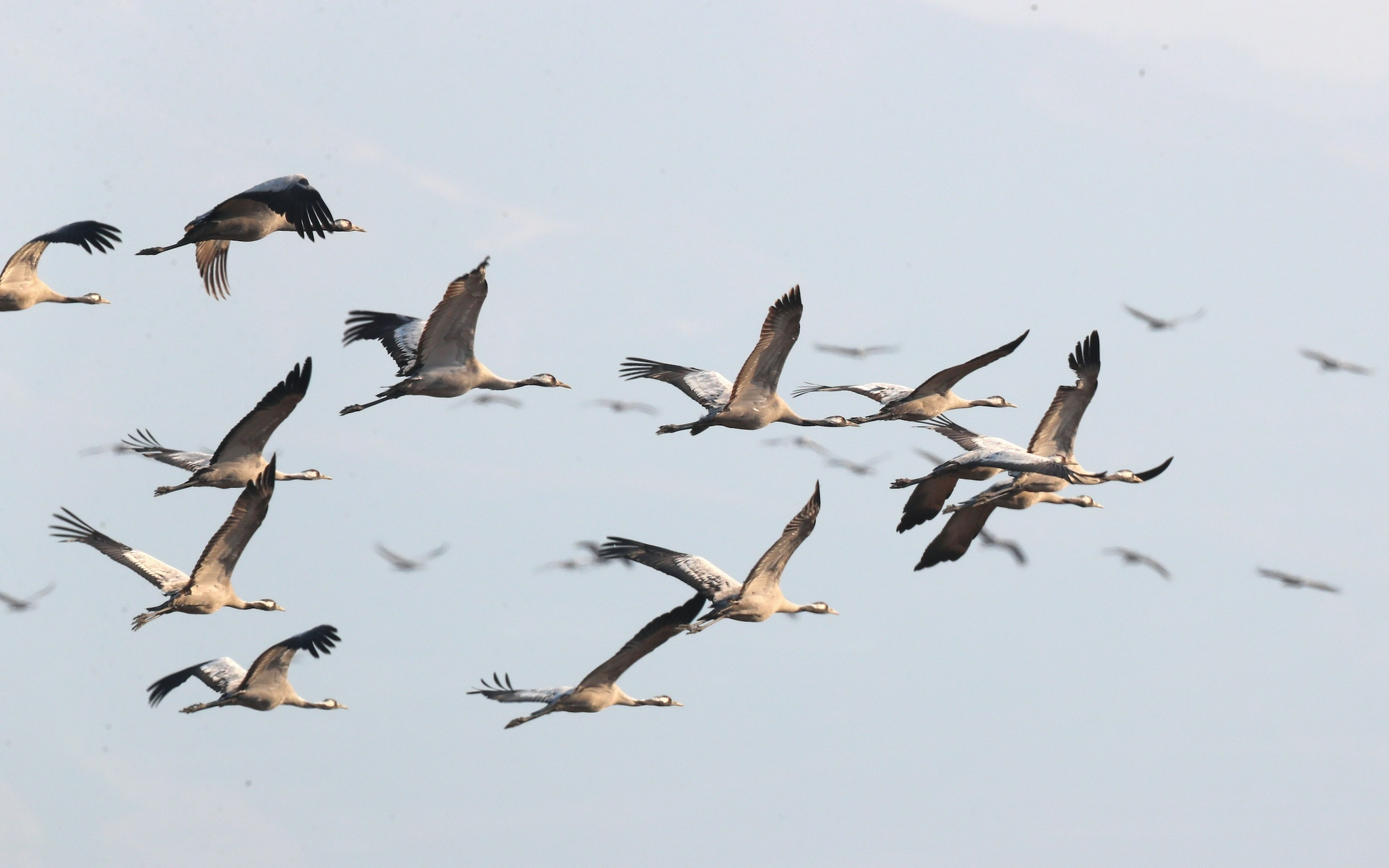 有没有科学依据?