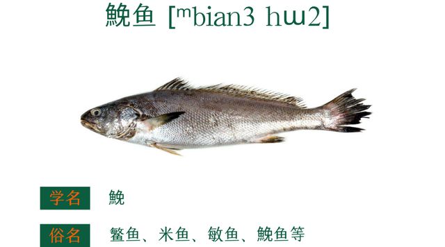 粤菜谱74期 香葱香菜豆豉油清蒸迦魶魚 嘉鱲鱼预防老年失智症食谱