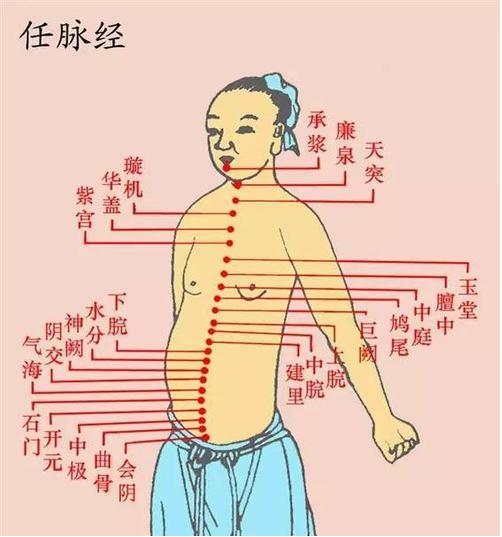 易经八卦与人体经络