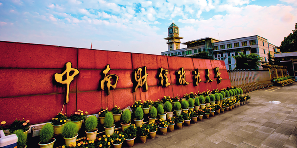 瞭望丨中南财经政法大学党委书记 栾永玉:构建高质量教育体系 推动