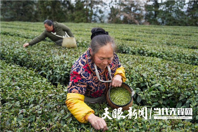 遵义绥阳县小关乡图片