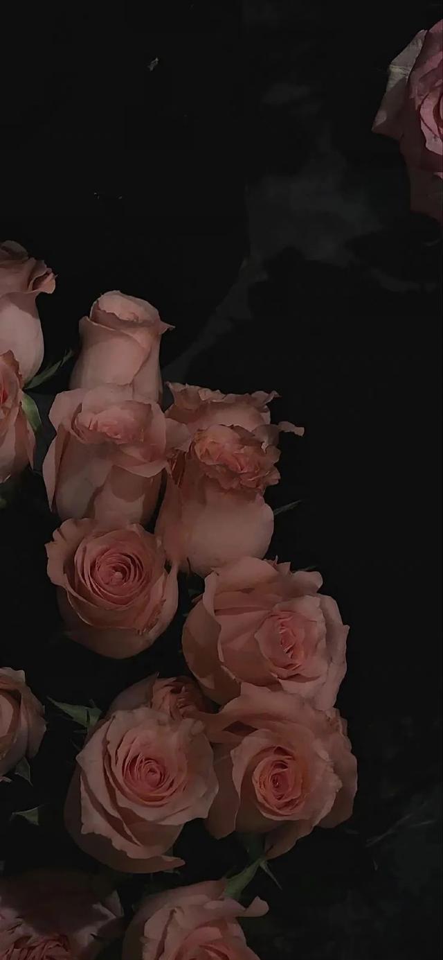 氛围感壁纸来袭