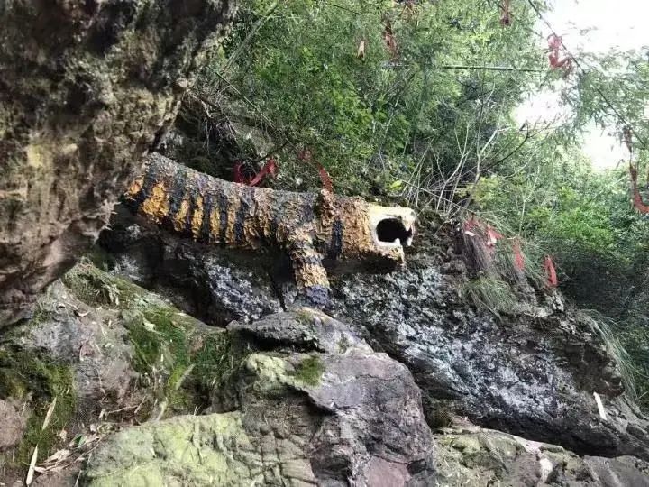 品萧山 | 地名故事——老虎洞