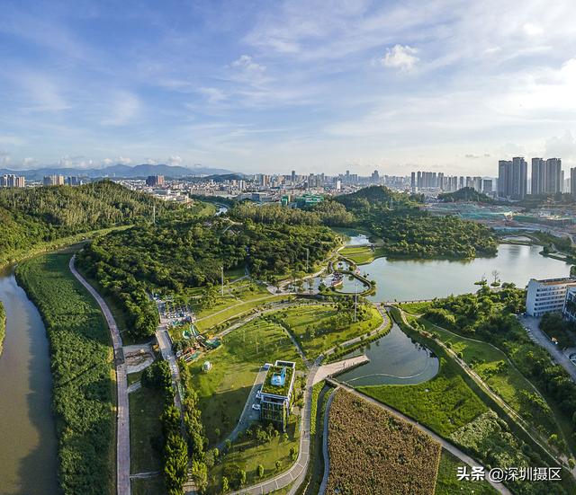 深圳龙岗湿地公园图片