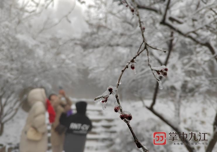 庐山花径雪景图片