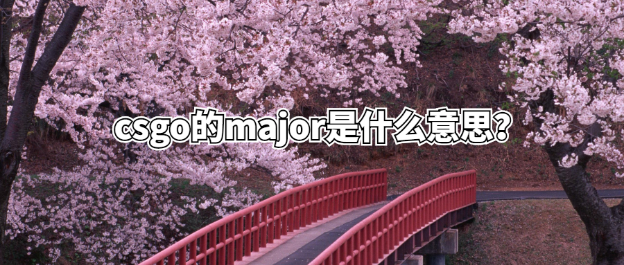 csgo的major是什么意思?