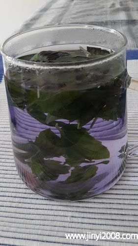 紫苏和什么一起泡水喝功效好(紫苏有退热的功效吗)