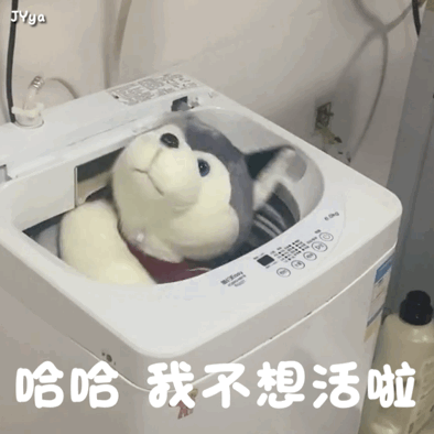 表情包动图|埋哪我都想好了