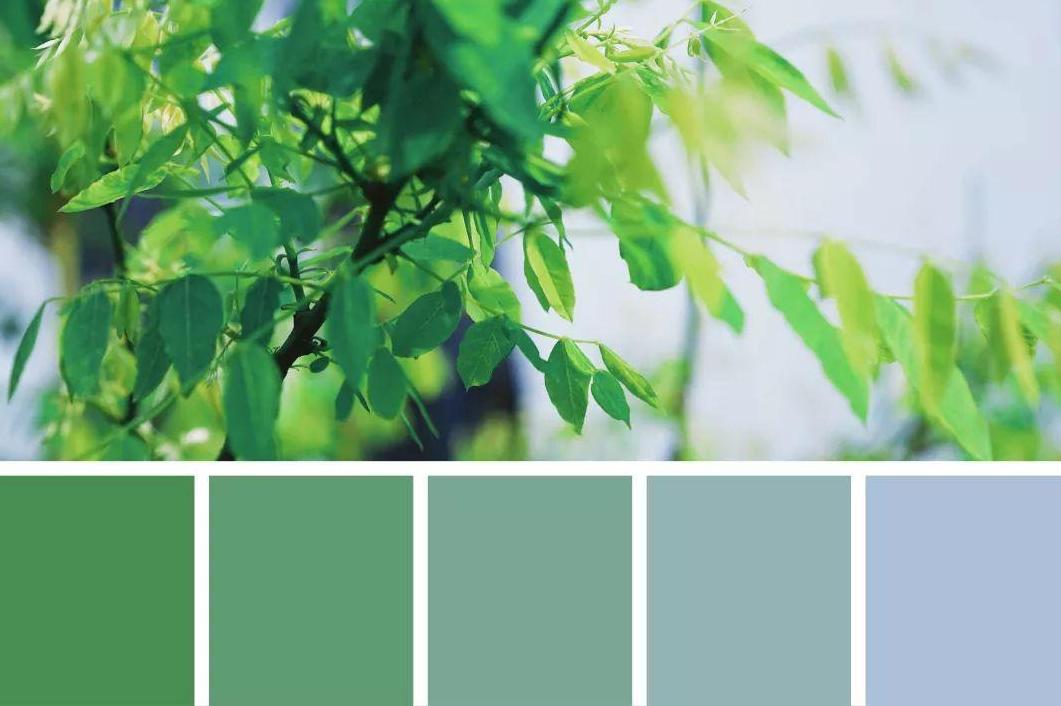 清凉舒适的"薄荷色"洛丽塔,优雅又温柔,日常上课也能穿