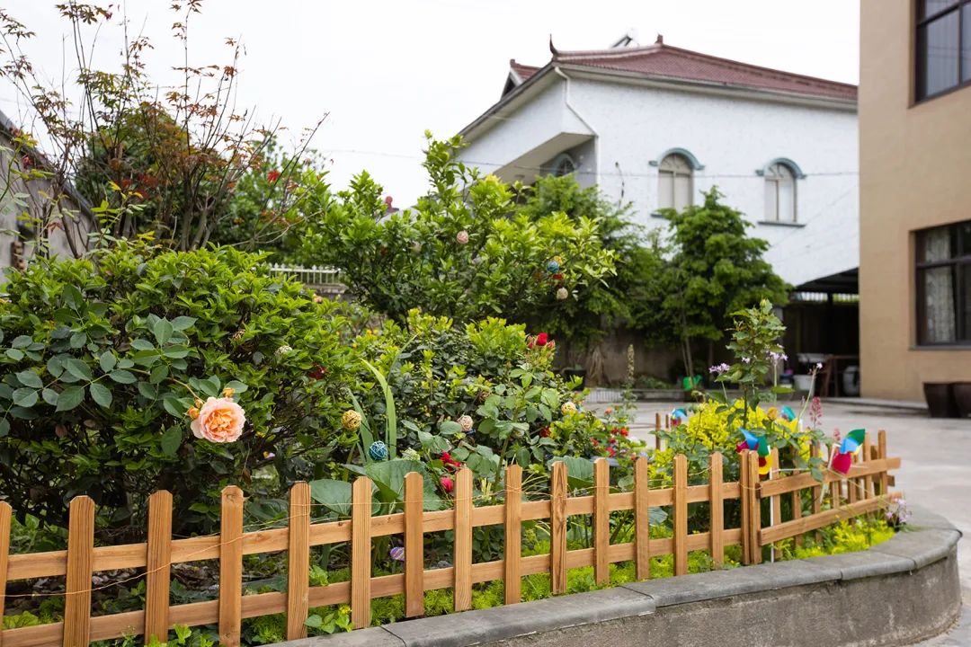 美丽庭院 | 美美与共,美好生活在庭院(二)