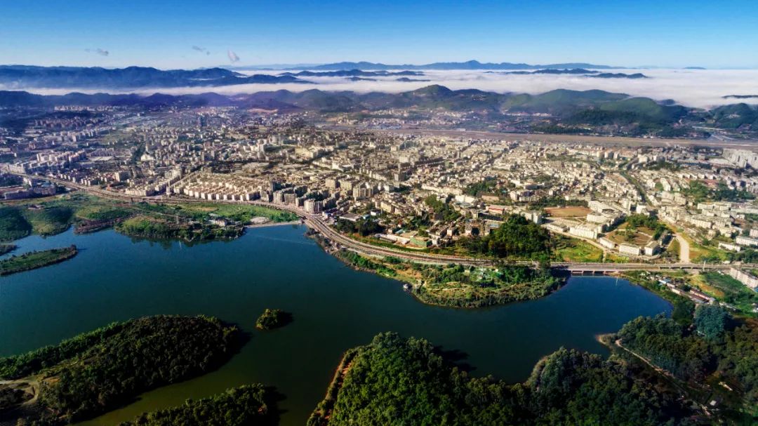 世界大象日特别策划|今天,跟着它们去旅行