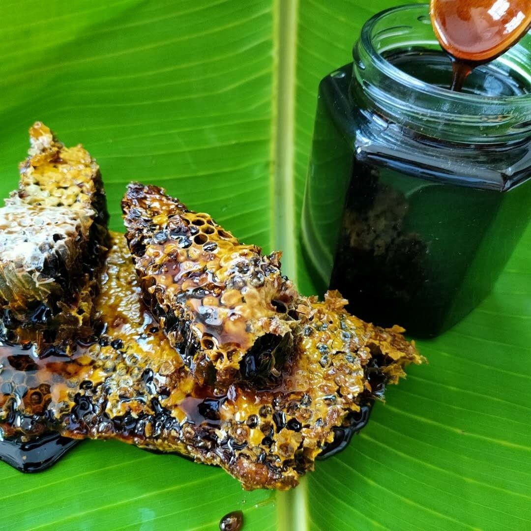 云南野生黑蜂蜜的功效(云南黑蜜的营养价值)