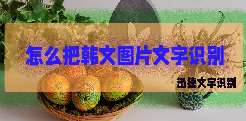 韩文图片文字识别在线图片