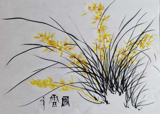 新县兰花山山风香