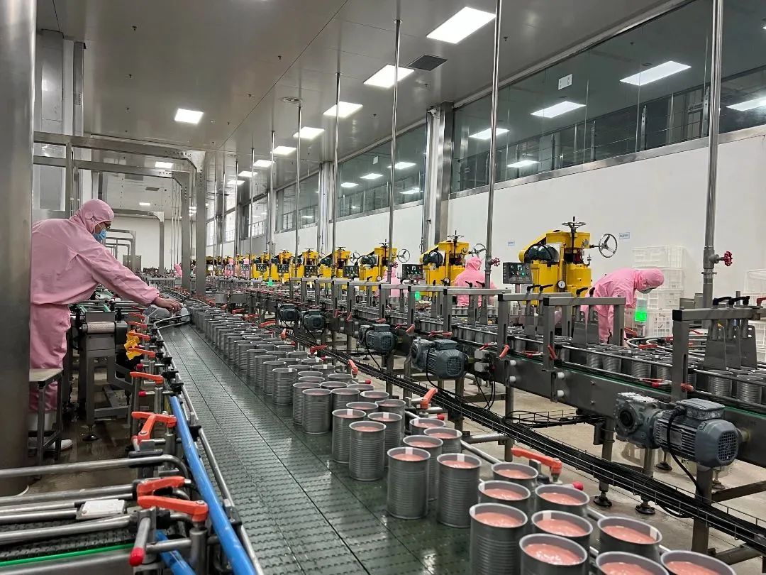 烟台中宠食品股份有限公司以工匠精神开创宠物行业未来