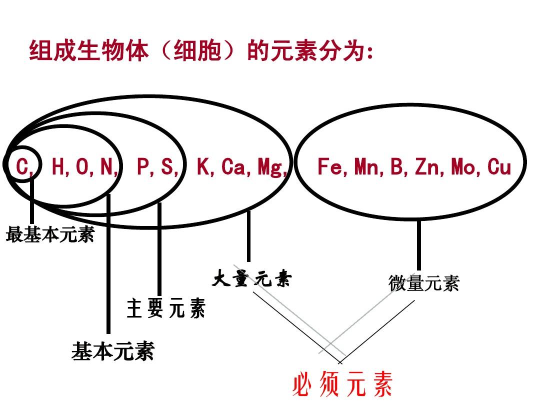 为什么地球选择了碳基生命,而非硅基生命?宇宙中存在硅基生命吗