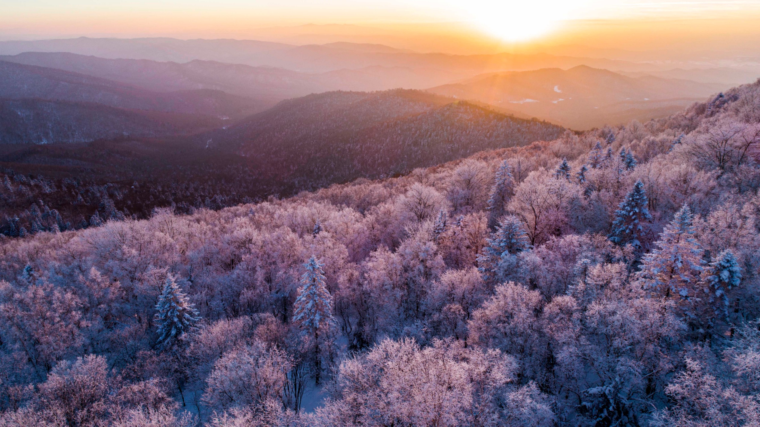 吉林雪景最美的地方图片