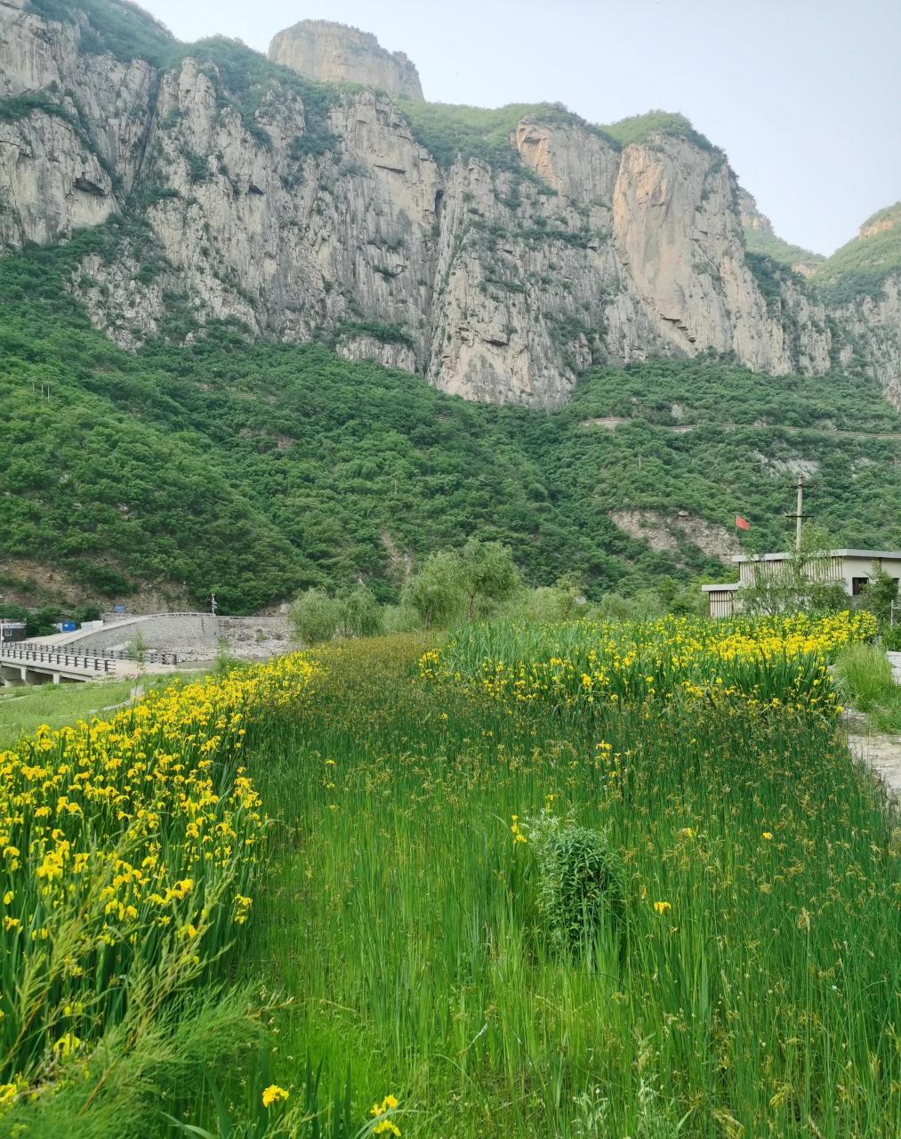 漳河国家湿地公园,位于安阳西北部的太行山中,由于鲜为人知,这里游人