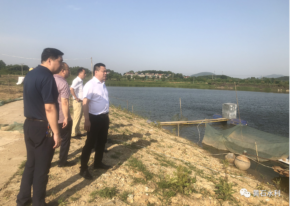 大冶市委常委王细军赴三山湖督导河湖长制工作