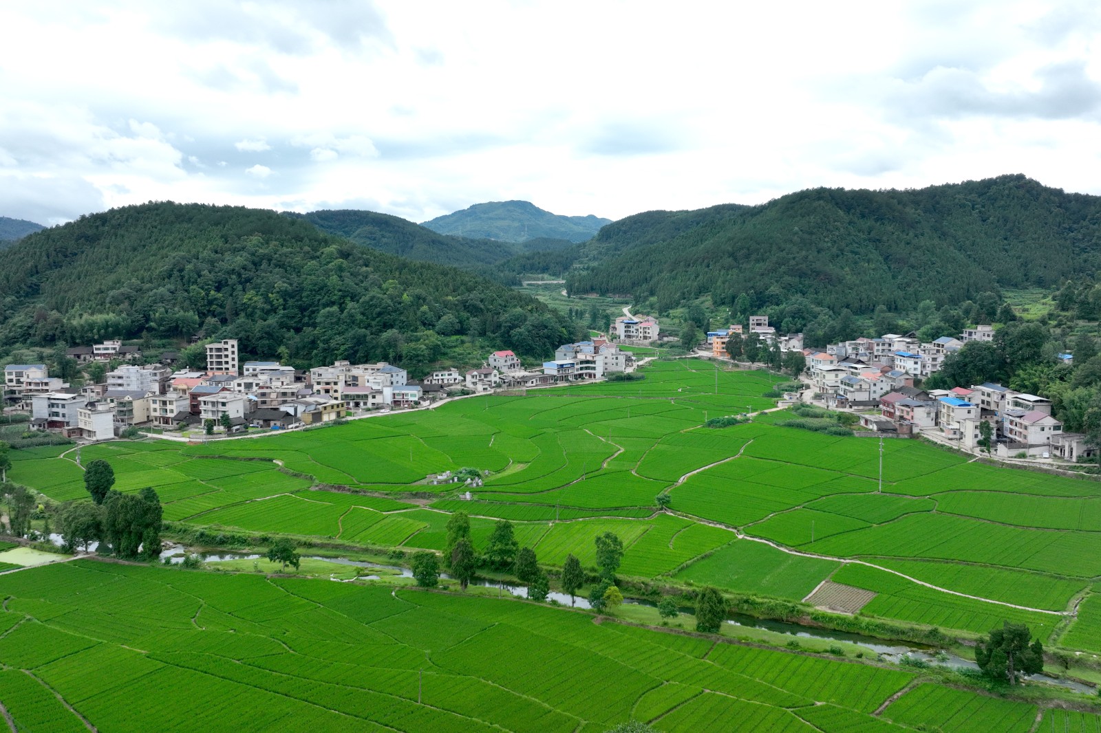 岑巩县天星乡:盛夏乡村美如画