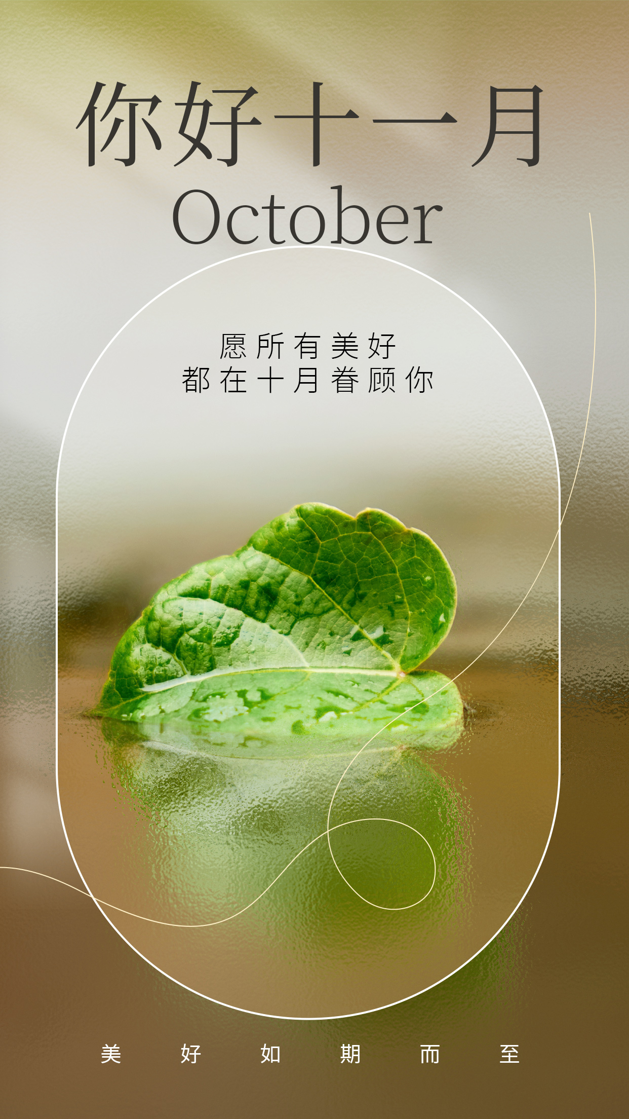 十一月你好唯美句子,新的起点,让我们携手前行