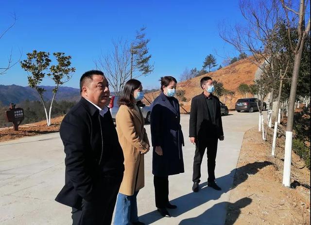 刘华深入商南镇村督导检查疫情防控和秦岭山水乡村建设工作