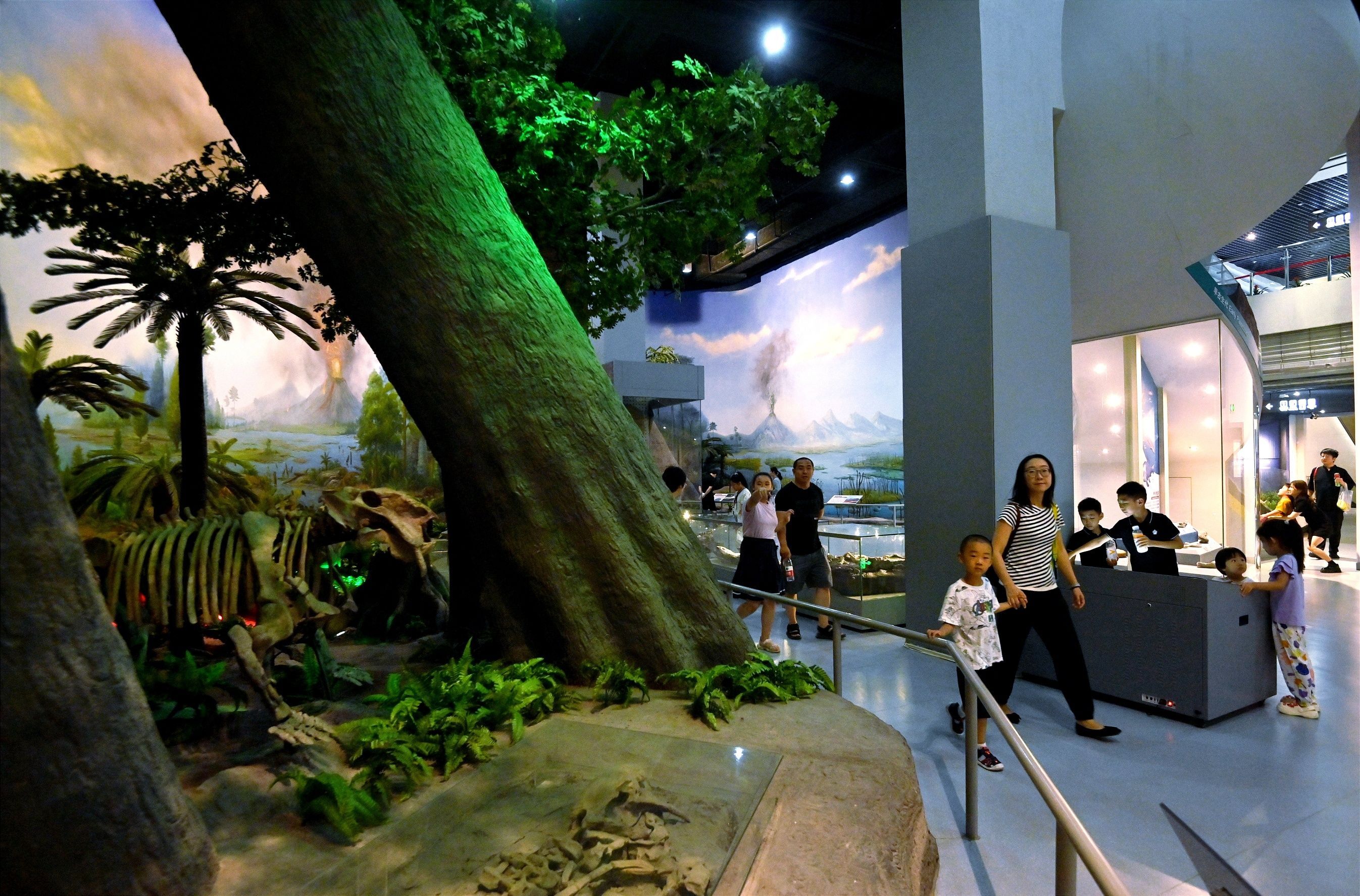 太原人 走起!到山西地质博物馆感受生命奇迹 领略自然科学魅力