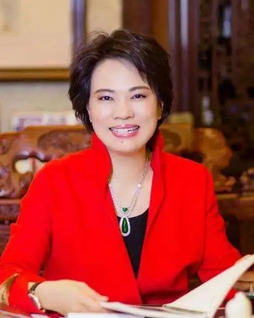 4套别墅遭拍卖!昔日女首富的800亿集团跌落神坛