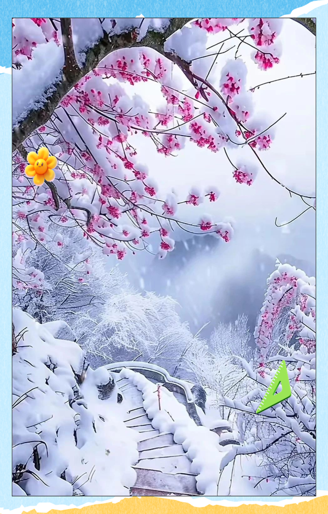 梅花雪景:坚韧生命与自然美的极致融合