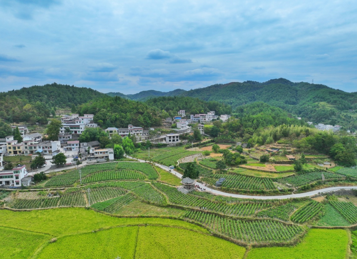 湖南凤凰新岩村种上致富瓜走向振兴路-农兜网